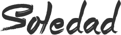 Writers' Voices